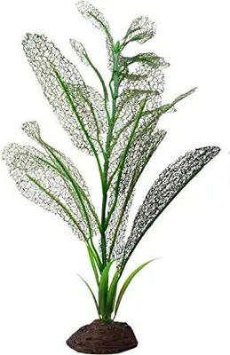 Obrázok produktu pre Fluval rastlina Madagaskar 40cm