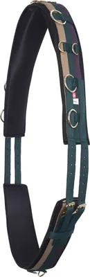 Produktbild von Imperial Riding Deluxe Extra Longiergurt Grün Full Grün Full
