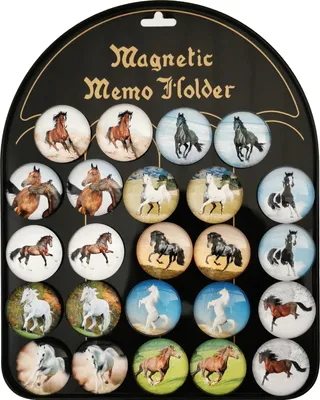 Image de 24 pièces de pastilles magnétiques. CHEVALS