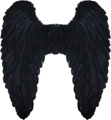 Produktbild von Schwarze Federflügel 65cm Karneval Faschingskostüm - Karneval Faschingskostüm