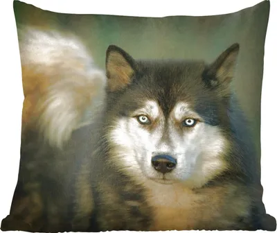 Produktbild von MuchoWow® Zierkissen Sofakissen Wohnzimmer Dekokissen 60x60 cm Husky schaut in die Kamera - Sitzfläche - Foto Polster