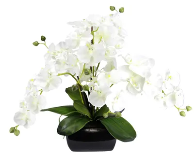 Productafbeelding van Kunstbloem vlinderorchidee, 40 cm, met bladeren en luchtwortels, in pot van
