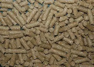 Productafbeelding van Fakkert Biologisch FAXBIX Paardenbrok 20KG