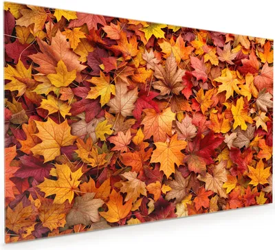 Produktbild von Küchenrückwand Spritzschutz Glas mit Motiv Herbstlaub 40 x 40 cm
