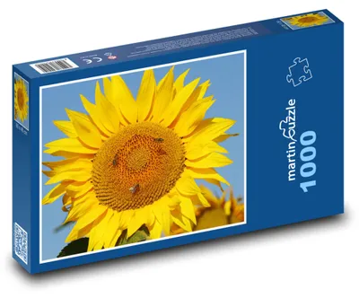 Obrázok produktu pre Puzzle 1000 Rozkvitnutý Slnečnica - martinpuzzle