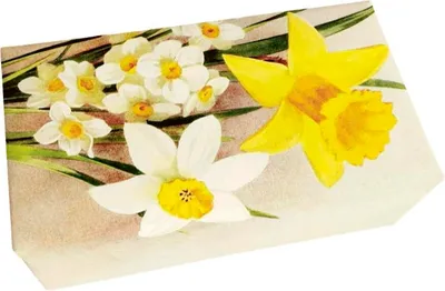 Obrázok produktu pre Dárkové mýdlo Daffodil 200 g