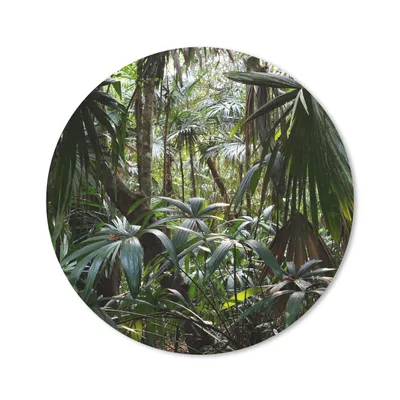 Produktbild von MuchoWow® Mauspad Mousepad Pflanzen im Regenwald 20x20 cm - Mousepads - Maus Mat - Pad - Mausunterlage - Schreibtischmatte