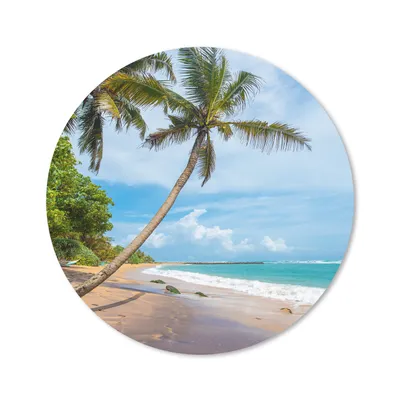 Produktbild von MuchoWow® Mauspad Mousepad Palme - Strand - Meer 50x50 cm - Mousepads - Maus Mat - Pad - Mausunterlage - Vinyl