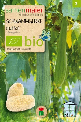 Zdjęcie produktu dla Nasiona ogórka gąbkowego Maier, ok. 5 roślin, nasiona luffy