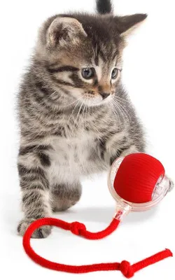 Produktbild von Interaktives Katzenspielzeug - intelligente Katzenball - rollende Katzenball - Katzen- und Hundeball - 360° intelligente automatische rollende Haustierball - elektrische bewegende Ball für Hunde und Katzen