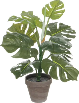 Zdjęcie produktu dla Mica Decorations Monstera sztuczna roślina w doniczce Stan - H48 x Ø39 cm - Zielony
