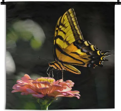 Produktbild von MuchoWow® Wandteppich Wandbehang Schmetterling - Botanisch - Blume 60x60 cm Tapisserie Dekoration Wandtuch - Dekorationen - Wand Decke