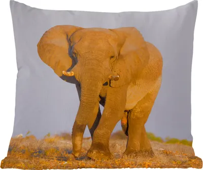 Produktbild von MuchoWow® Zierkissen Sofakissen Wohnzimmer Dekokissen 45x45 cm Elefant - Tier - Gras - Schlafpolster - Polster für das Sofa