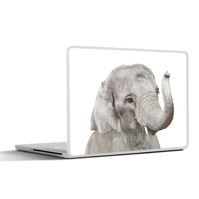 Produktbild von MuchoWow® Laptop Aufkleber Sticker Cover Elefant - Tiere - Grau - Natur 25x18 cm - Laptop-Deko