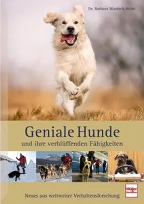Image de Geniale Hunde und ihre verblüffenden Fähigkeiten