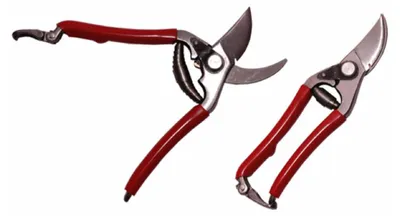 Produktbild von Sanpro Profi Baum- Reben- und Gartenschere 190 mm (baumschere rebenschere)