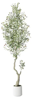 Obrázok produktu pre Umelý olivovník – izbová rastlina – vysoký, štýl bonsai, biely kvetináč, zelený mach, 3XL, na vonkajšie použitie – mliečne biela