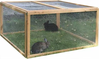 Image de Petite cage pour animaux en grillage métallique, 120 x 120 x 59 cm, pour rongeurs