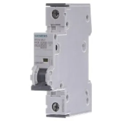 Obrázek produktu pro Siemens 5SY4105-7, IP20