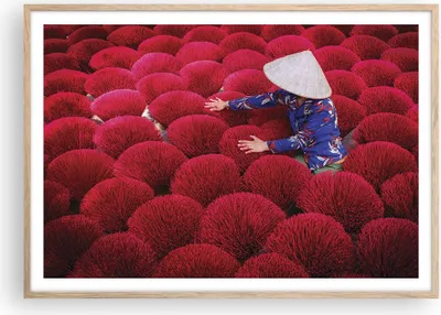 Produktbild von Gerahmtes Poster - Rahmen in heller Eiche - Trocknen Weihrauch Vietnam - 100x70 cm - Wand Bild - Wanddeko - Wandbilder - Kunstposter - Wandposter - Bilderrahmen - Bilder - P2NAA100x70-4655