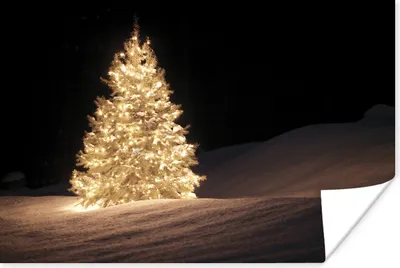 Produktbild von MuchoWow® Poster Ein beleuchteter Weihnachtsbaum in der Nacht 120x80 cm - Bilder