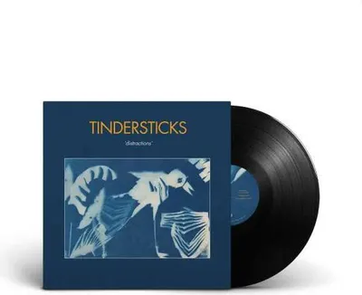 Immagine prodotto di Tindersticks - Distrazioni Vinile