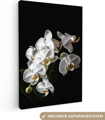 Zdjęcie produktu dla OneMillionCanvasses® - Obrazy na płótnie - 90x140 cm, Orchidea - Kwiaty - Biały - Natura - Czarny, Dekoracja ścienna - Zdjęcie na płótnie - Obraz na drewnianej ramie - Dekoracja ścienna - Sypialnia