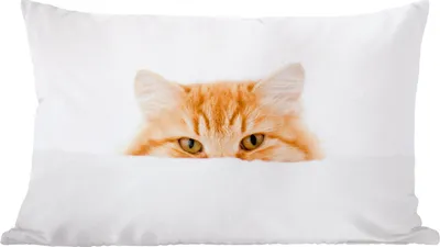 Produktbild von MuchoWow® Zierkissen Sofakissen Wohnzimmer Dekokissen 60x40 cm Katze - Rot - Weiß - Mädchen - Jungen - Kind - Kopfkissen - Polster mit Foto