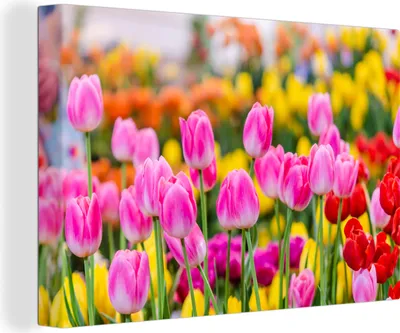 Produktbild von MuchoWow® - Leinwandbilder - Tulpen - Farben - Frühling, Wandbild, Wanddeko Bilder Wohnzimmer, 120x80 cm