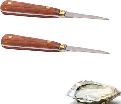 Produktbild von 2 Austernmesser mit Holzgriff 16 cm