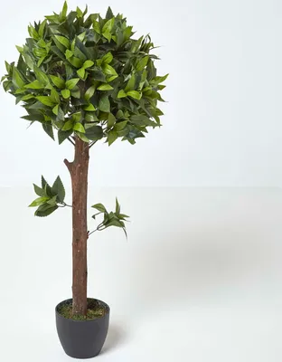 Produktbild von HOMESCAPES Kunstpflanze Lorbeerbaum formgeschnitten Kugel
