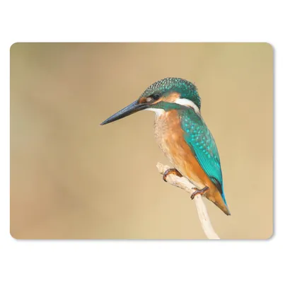 Produktbild von MuchoWow® Mauspad Mousepad Eisvogel - Tiere - Vogel 23x19 cm - Mousepads - Maus Mat - Pad - Mausunterlage - Schreibtischunterlage - Mauspad