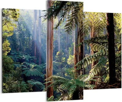 Produktbild von Bild auf Leinwand - Leinwandbild - 3 Teile - Morgendämmerung Bäume Wald - 130x100cm - Wand Bild - Wanddeko - Wandbilder - Leinwanddruck - Bilder - Wanddekoration - Leinwand bilder - CB130x100-4403