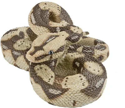 Produktbild von Safari Ltd Boa Constrictor Brown / Beige One Size