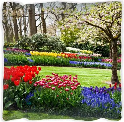 Produktbild von Wallario Premium Kissen, weiche Oberfläche, mit Motiv Bunte Blumen und Kirsch-Baum im Park blühen im Frühling, Größe: 60 x 60 cm, mit weißer Rückseite