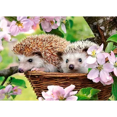 Produktbild von Castorland Springtime 120 pcs, 120 Stück(e), Fauna, 6 Jahr(e)