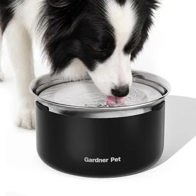 Productafbeelding van Solidchoice - Trage Waterkom voor Honden met Antisplash Ontwerp