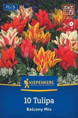 Produktbild von Kiepenkerl Greigii-Tulpe Balkonzauber Mix 10 Zwiebeln