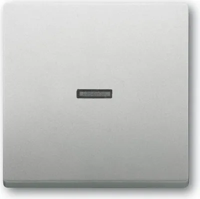 Produktbild von Busch-Jaeger Wippe 1789 N-866 2CKA001751A3152