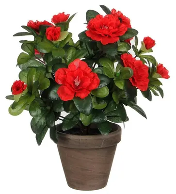 Immagine prodotto di Pianta decorativa Decorazioni in mica 10,5 x 21,5 x 15 cm Azalea
