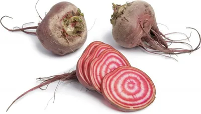 Produktbild von Rote Bete "Chioggia" - 40 Samen