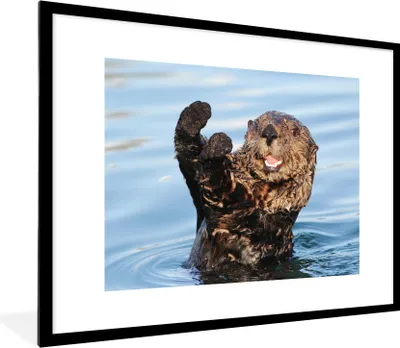 Produktbild von MuchoWow® Gerahmtes Poster Otter im Wasser 80x60 cm - Poster mit Schwarzem Bilderrahmen Wandposter Rahmen Foto Bilder - Schlafzimmer-Dekorationen - Fotoposter