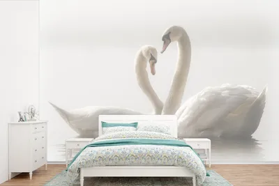 Produktbild von MuchoWow® Fototapete für Wohnzimmer oder Schlafzimmer Wandtapete Vinyl Motivtapete Schwäne - Wasser - Freunde - 600x400 cm - Vinyltapeten