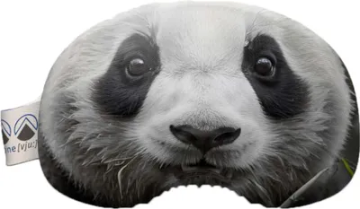 Image de Couvercle De Protection Pour Masque De Ski, Motif Panda, Couleur Blanc