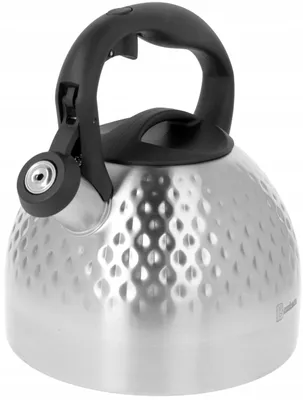 Produktbild von Brunbeste Stahl Wasserkocher mit Pfeife für Induktion 2,7L