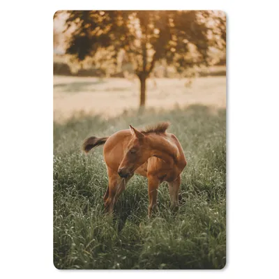 Produktbild von MuchoWow® Mauspad Mousepad Pferd - Gras - Baum 18x27 cm - Mousepads - Maus Mat - Pad - Mausunterlage