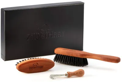 Image de Kit d'entretien pour barbe, comprenant une brosse et un nettoyant