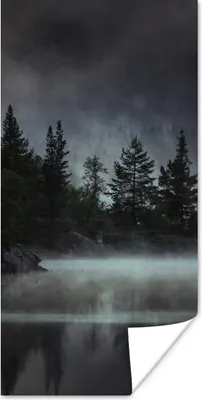 Produktbild von MuchoWow® Poster Wald - Nebel - Schwarz - Weiß 75x150 cm - Dekoration für die Wände
