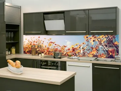 Obrázok produktu pre Dimex fototapety do kuchyne, samolepiace KI-260-123 Jarná lúka 60 x 260 cm