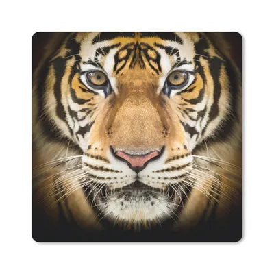 Produktbild von MuchoWow® Mauspad Mousepad Tiger - Tier - Porträt 20x20 cm - Mousepads - Maus Mat - Pad - Mausunterlage - Desk Mat - Bureauartikeln
